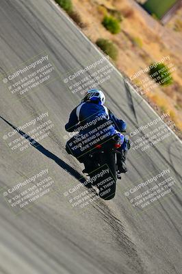 media/Oct-24-2025-2WTD (Fri) [[491f36c2bf]]/B Group/Session 3 (Turn 5)/